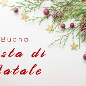 Buona festa di Natale