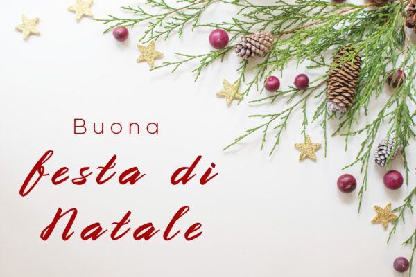 Buona festa di Natale